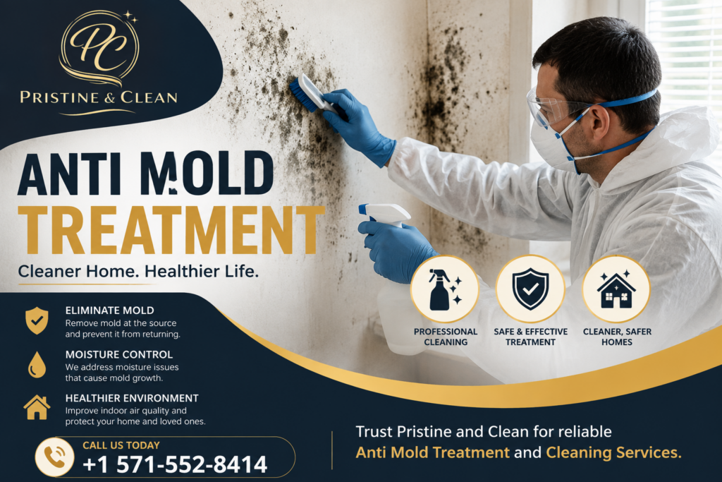 Anti Mold Treatment